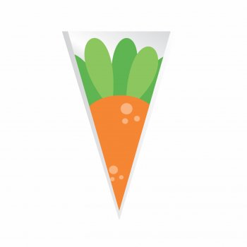 Cone Poli Cenoura 30cmx15cm 50pcs Laranja