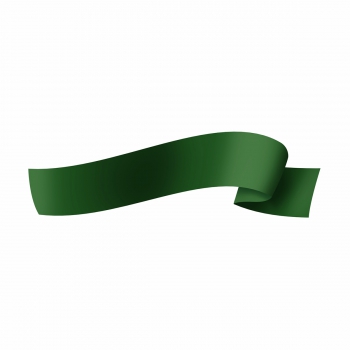 Fita Maxi FM 100L 32mmx50m Verde Escuro