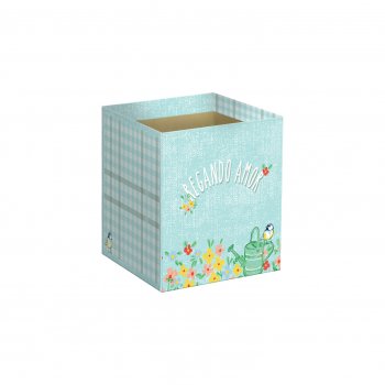 Cachepot Quadrado Regando Amor 11cmx11cmx11cm 10pc Cristal