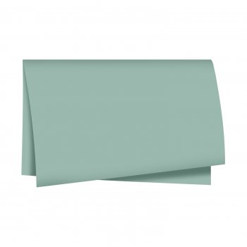 Poli Mate 49cmx69cm 50fls Verde Eucalipto