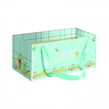 Caixa Kit Regando Amor C/Alça Cetim 20cmx12cmx10cm 1pç Cristal