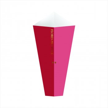 Cone Para Bouquet Essenza/C hot Stamping 8,5cmx28,5cmx3,5cm 6pçs Blush