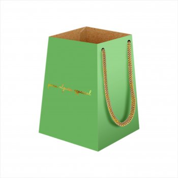 Vaso Kraft Amsterdam Aurora C/Hot Stamping 23cmx17cmx13cm 06pç Verde Chá