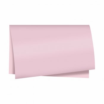Poli 400 Acetinado Coreano Liso 58cmx58cm 20fls Rosa Pétala