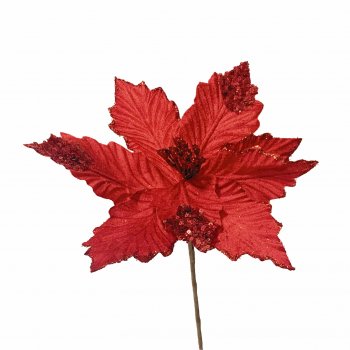 Bico Papagaio Glitter FN162 Vermelho