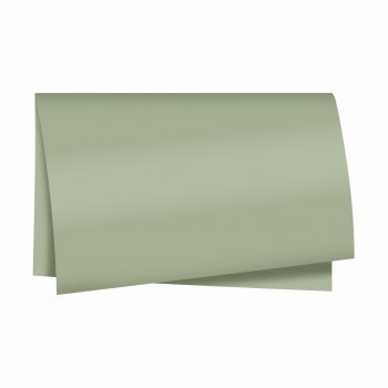 Poli 400 Acetinado Coreano Liso 55cmx60cm 20fls Verde Chá