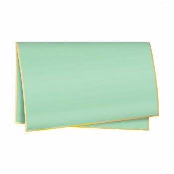 Poli 500 Acetinado Coreano Duo Classic 56cmx56cm 20fls Verde