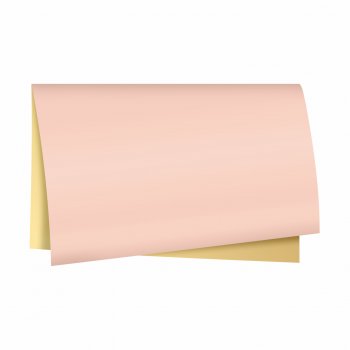 Poli 600 Coreano Dupla Face Glam 55cmx53cm 20fls Rosê Claro/Ouro