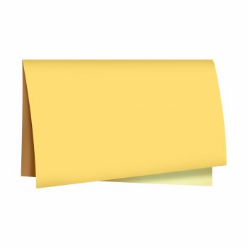Poli Dupla Face Liso 68cmx65cm 25fls Narciso/Ouro